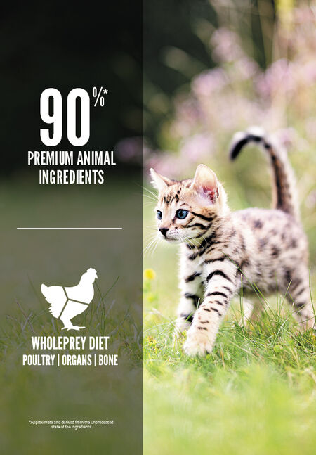 Premium Kitten Dry Food with Chicken, Turkey, Wild Salmon & Herring - High Protein Cat Food for Growing Kittens - Made in USA - Perfect for Weaning, Weight Gain & Healthy Development