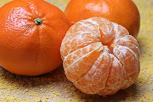Tangerine Mandarin Orange Citrus Fruit Tree Seeds - Non-GMO, 20 Seeds for Planting - Grow Your Own Sweet & Juicy Oranges at Home | Perfect for Gardens, Patios & Indoor Pots