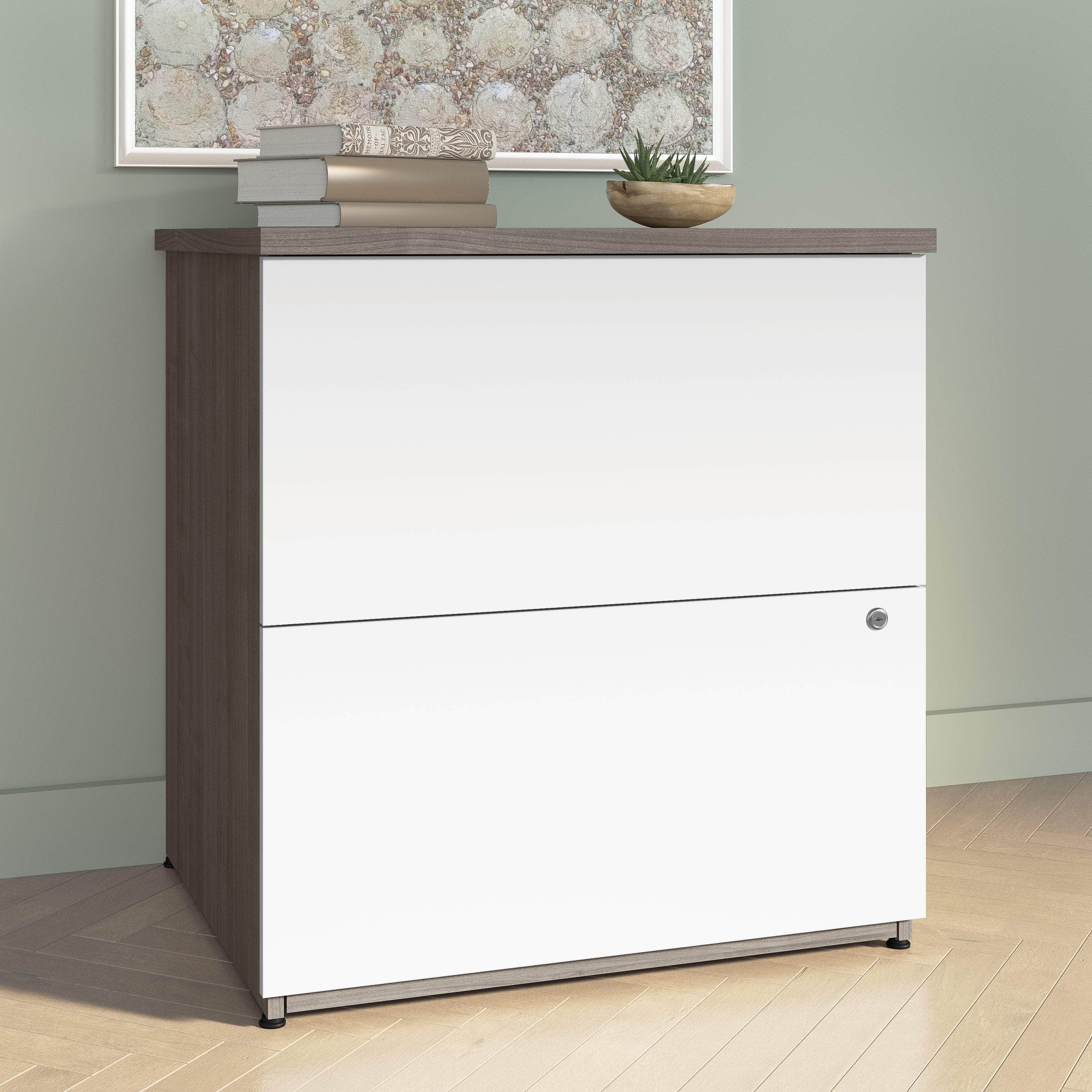 28W Standard 2-Drawer Lateral File Cabinet - 5 Color Options for Office & Home Organization | Durable Metal Filing Cabinet for Documents & Folders