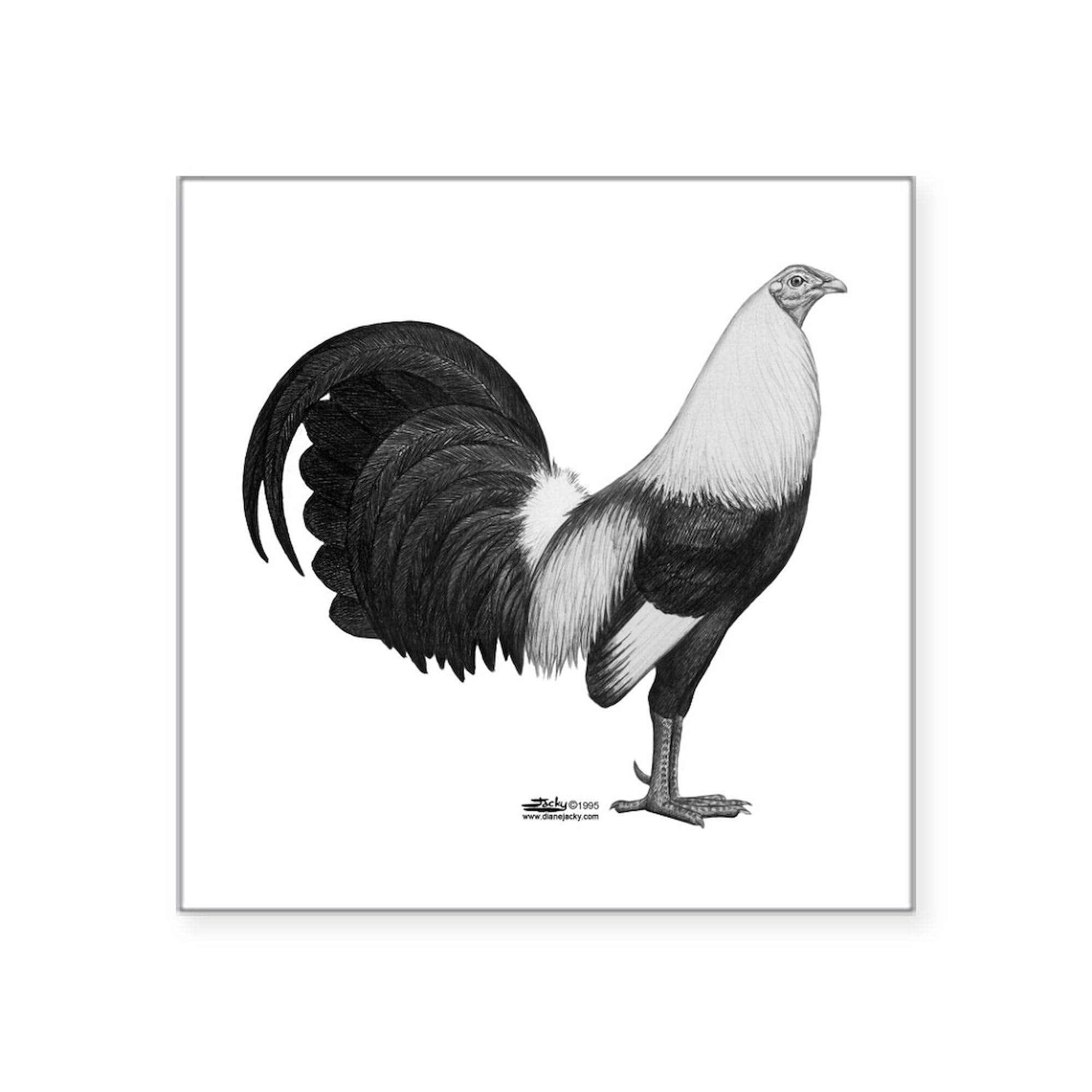 Gamecock Grey Duckwing Rooster Sticker - Square Bumper Sticker & Car Decal for Cars, Laptops, Windows | Funny Gift for Poultry Lovers & Chicken Farmers