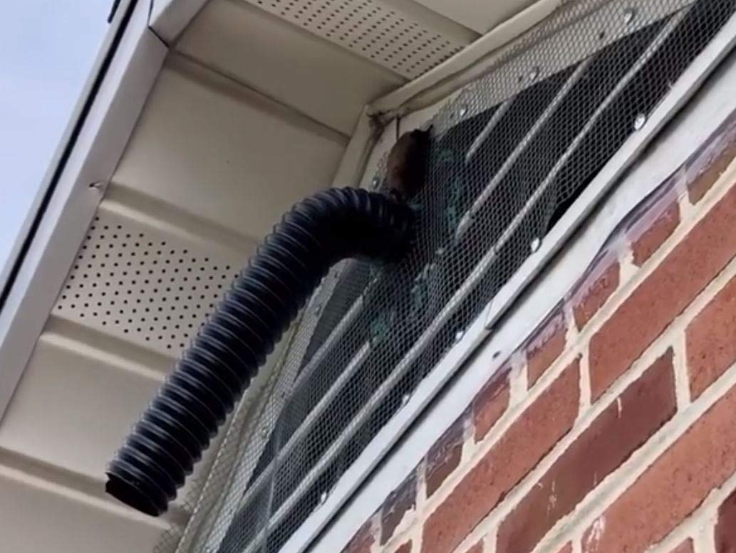 The Bat Valve | TBV-Flex2 | One Way Bat Door for Humane Bat Removal & Exclusion | Durable Bat Cone for Attic & Chimney Eviction | Perfect for Homeowners & Wildlife Control Professionals