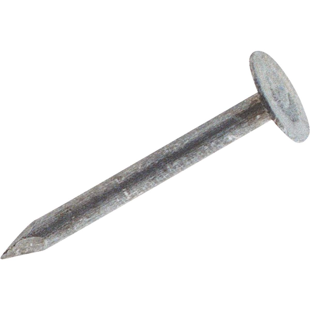 1 Lb. Electro Galvanized Roofing Nails (2-1/2