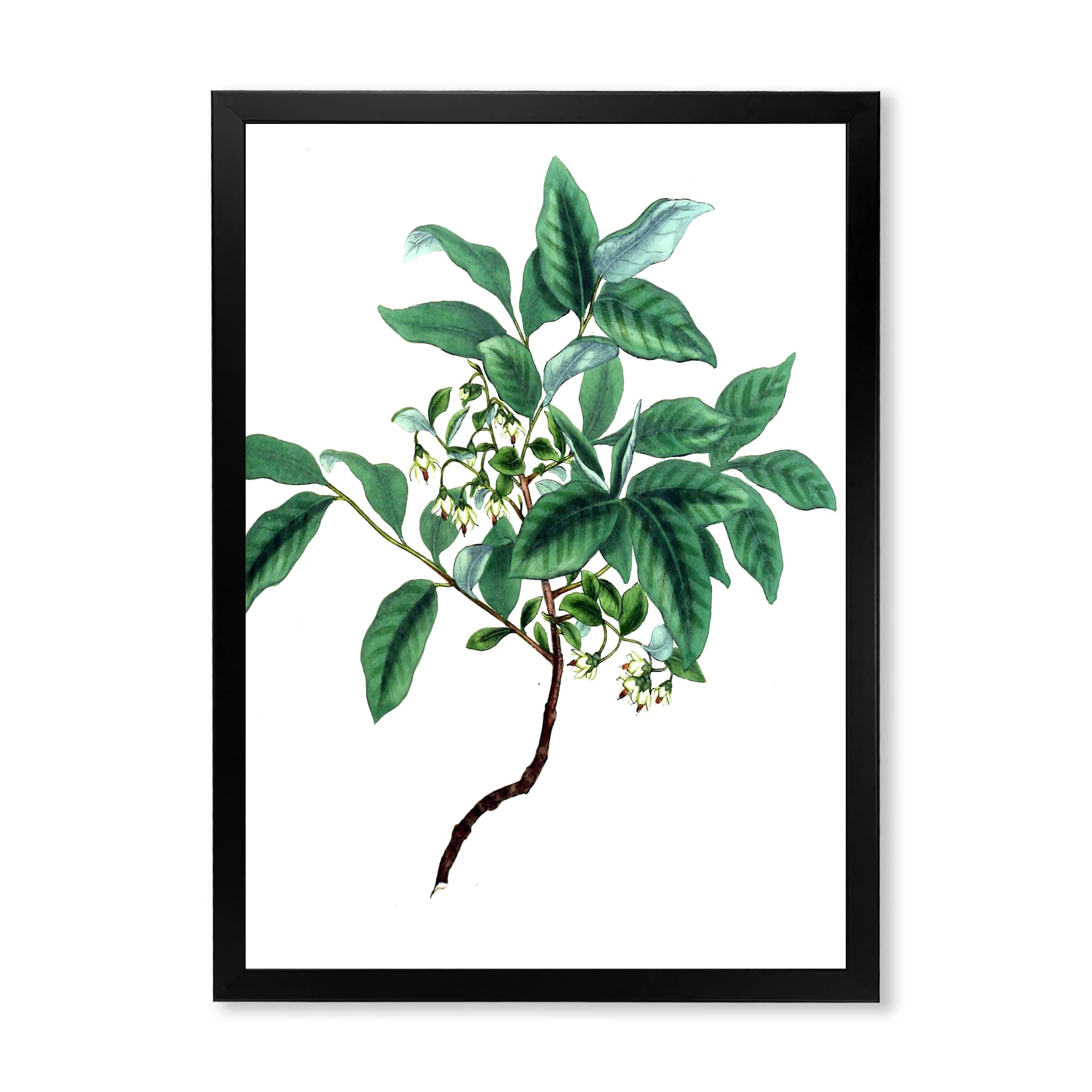 Vintage Green Leaves Botanical IV Traditional Framed Wall Art - Perfect for Living Room, Bedroom & Office Decor