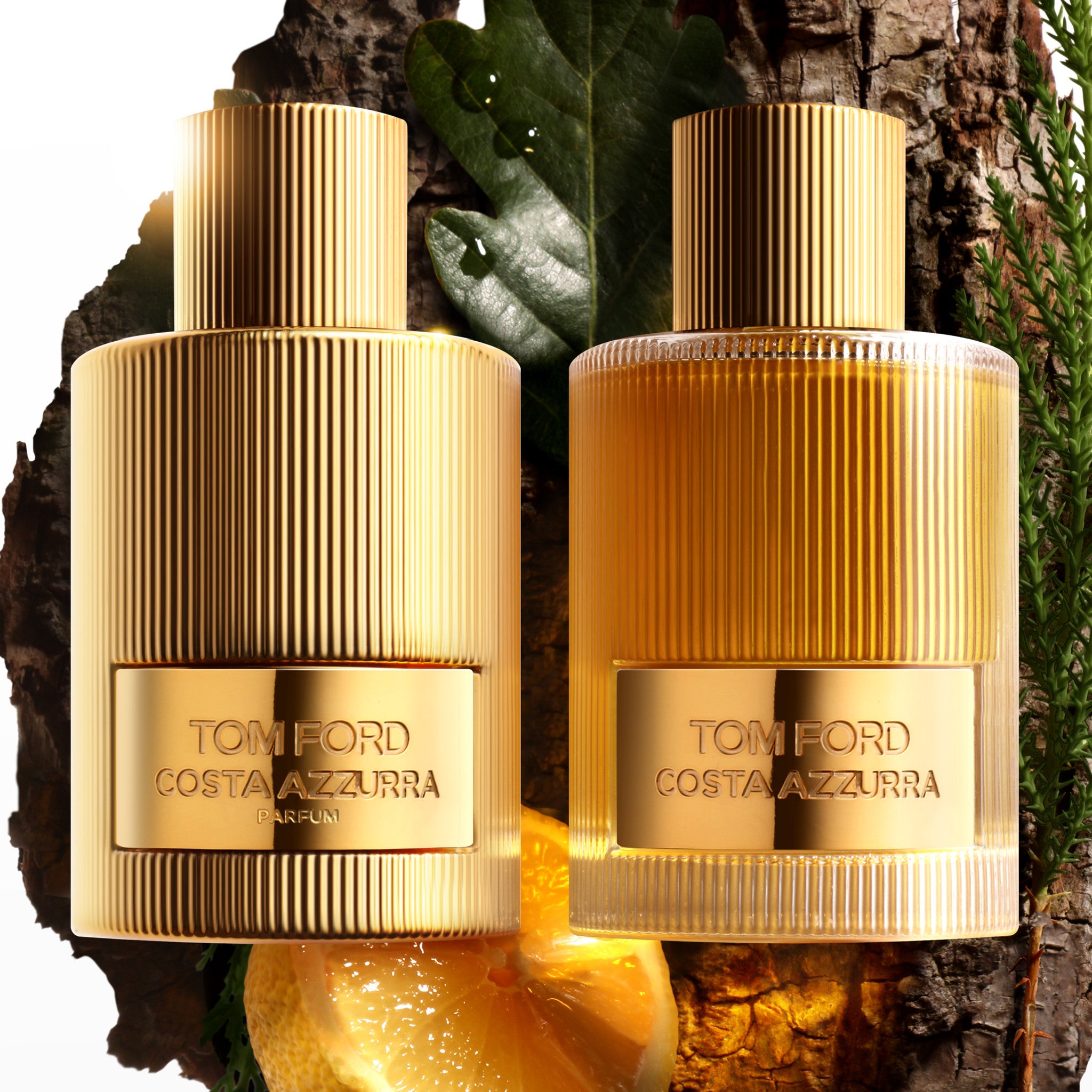 Costa Azzurra Perfume for Women & Men - Luxury Italian Fragrance with Fresh Citrus & Woody Notes - Perfect for Date Night, Office & Special Occasions