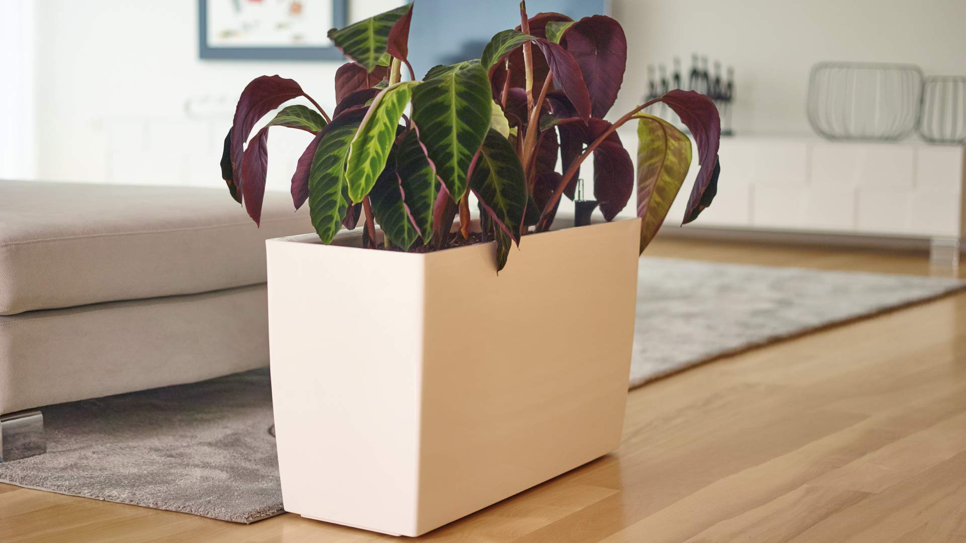 Marbella Self-Watering Plant Box 30