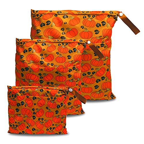 Sets Pumpkin