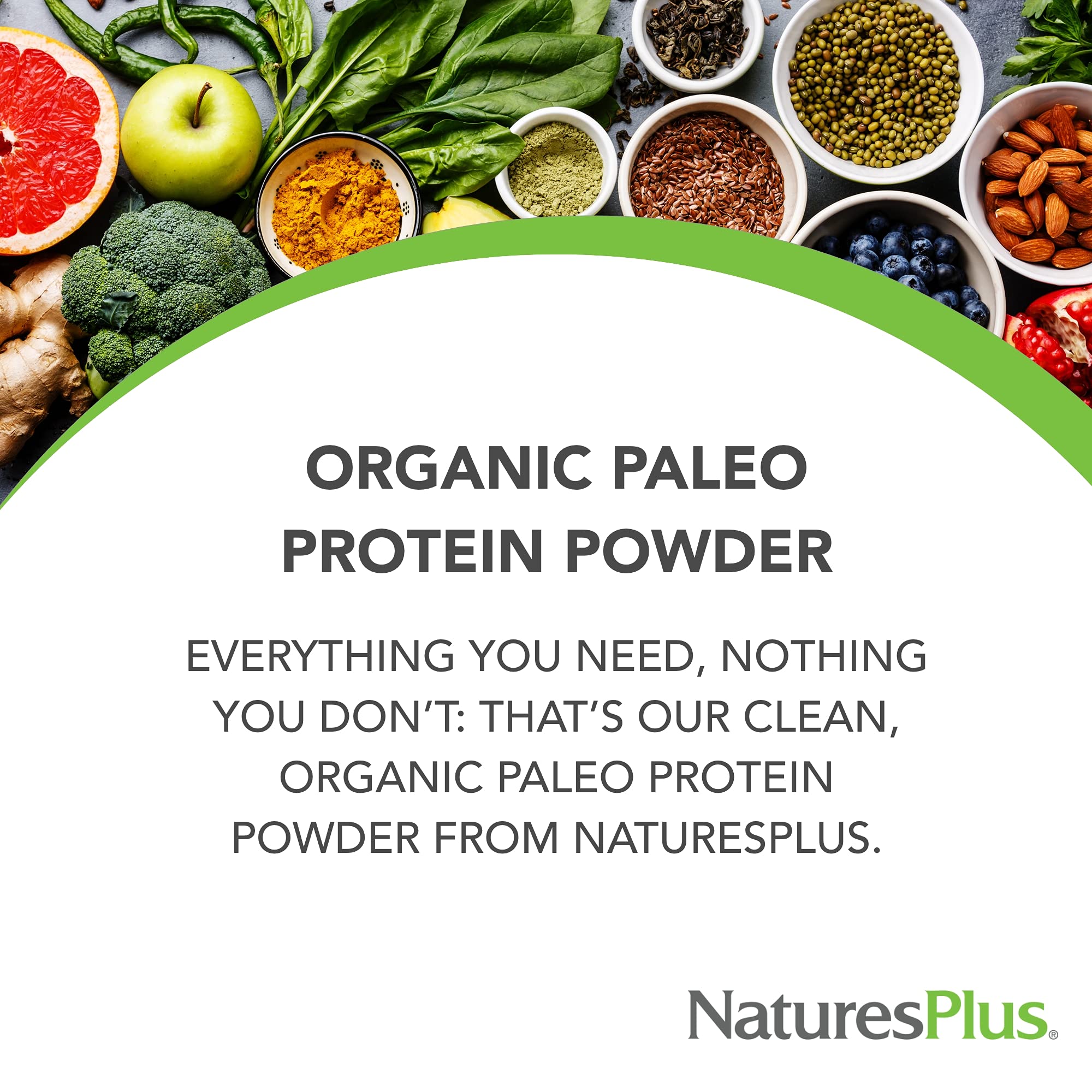 NaturesPlus Organic Paleo Protein Powder - 1.49 lbs, 20g Protein per Serving, Vegan & Gluten-Free, Unflavored & Unsweetened - Certified Organic High Protein Energy Supplement for Vegetarians (15 Servings) - Perfect for Post-Workout Recovery, Smoothies & Healthy Meal Replacement