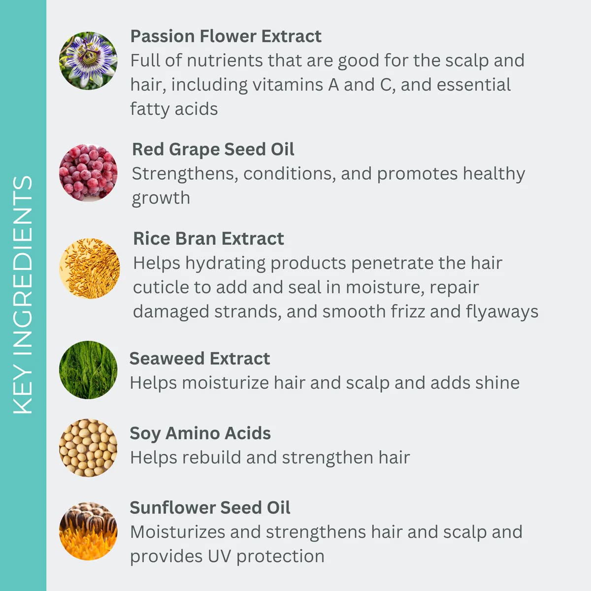 EVOLVh - Natural Healthy Hair Trio Set | UltraShine Moisture Shampoo, Daily Conditioner & Leave-In Conditioner (8.5 fl oz/250 mL) | Vegan, Non-Toxic, Clean Hair Care for Dry, Damaged Hair | Perfect for Daily Use, Travel & Salon-Quality Results at Home | Packaging May Vary