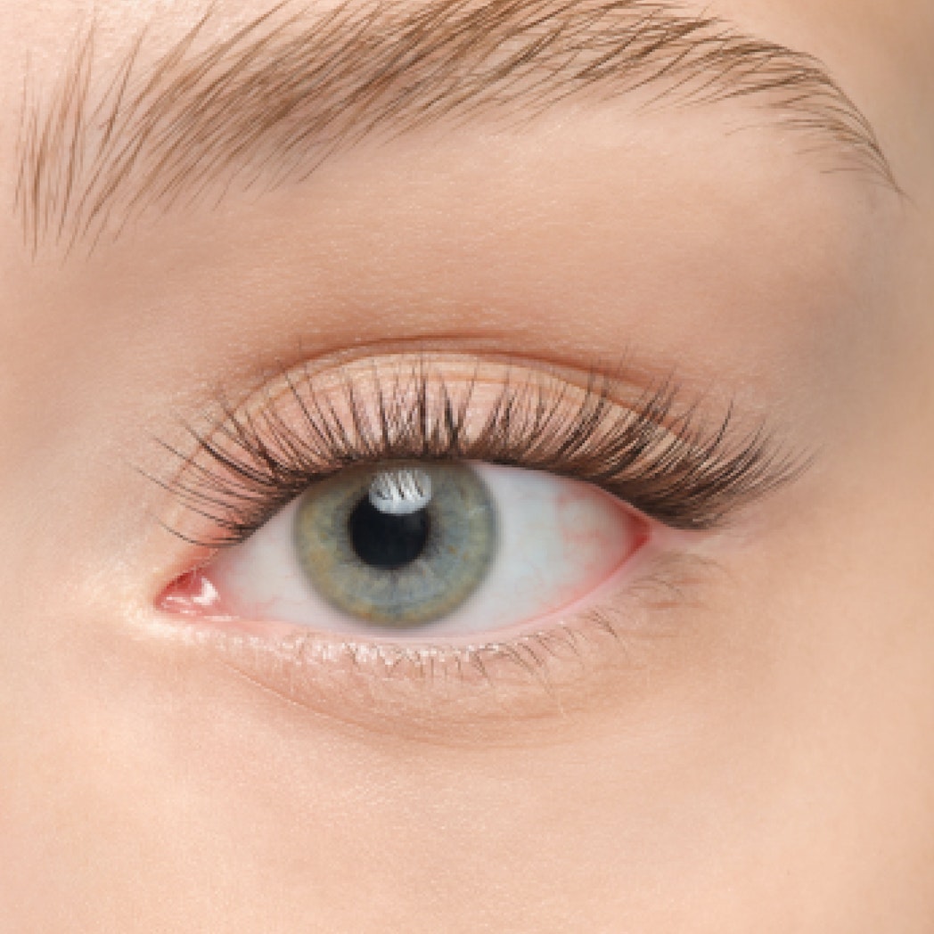 Plushy Gossamer® False Eyelashes - Natural Wispy Lashes for Dramatic Eye Makeup | Perfect for Parties, Weddings & Special Occasions