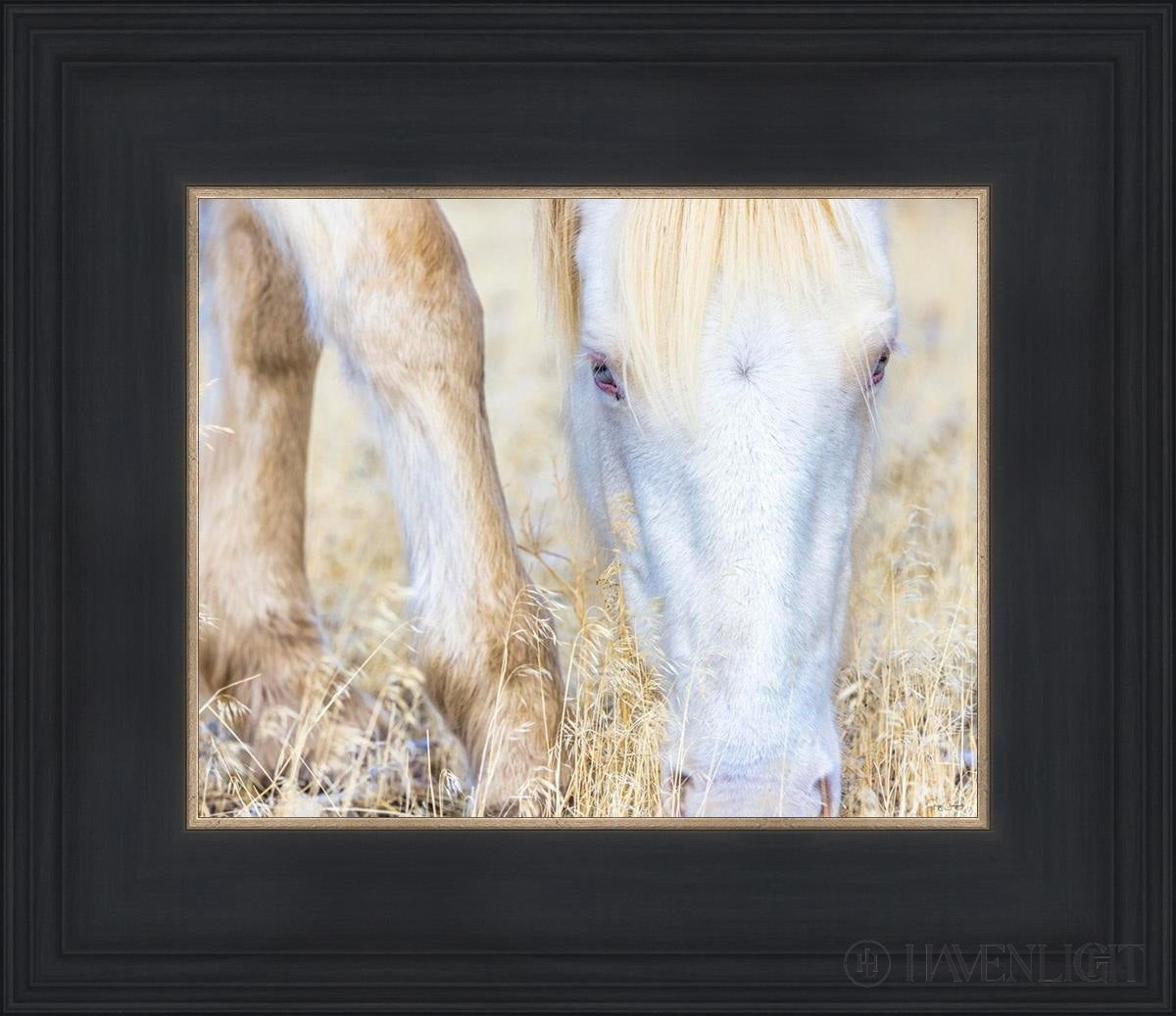 Dry Grass by Greg Sargent - Premium Handcrafted Home Decor for Rustic & Farmhouse Style - Perfect for Wall Art, Shelf Displays & Cozy Living Room Decor