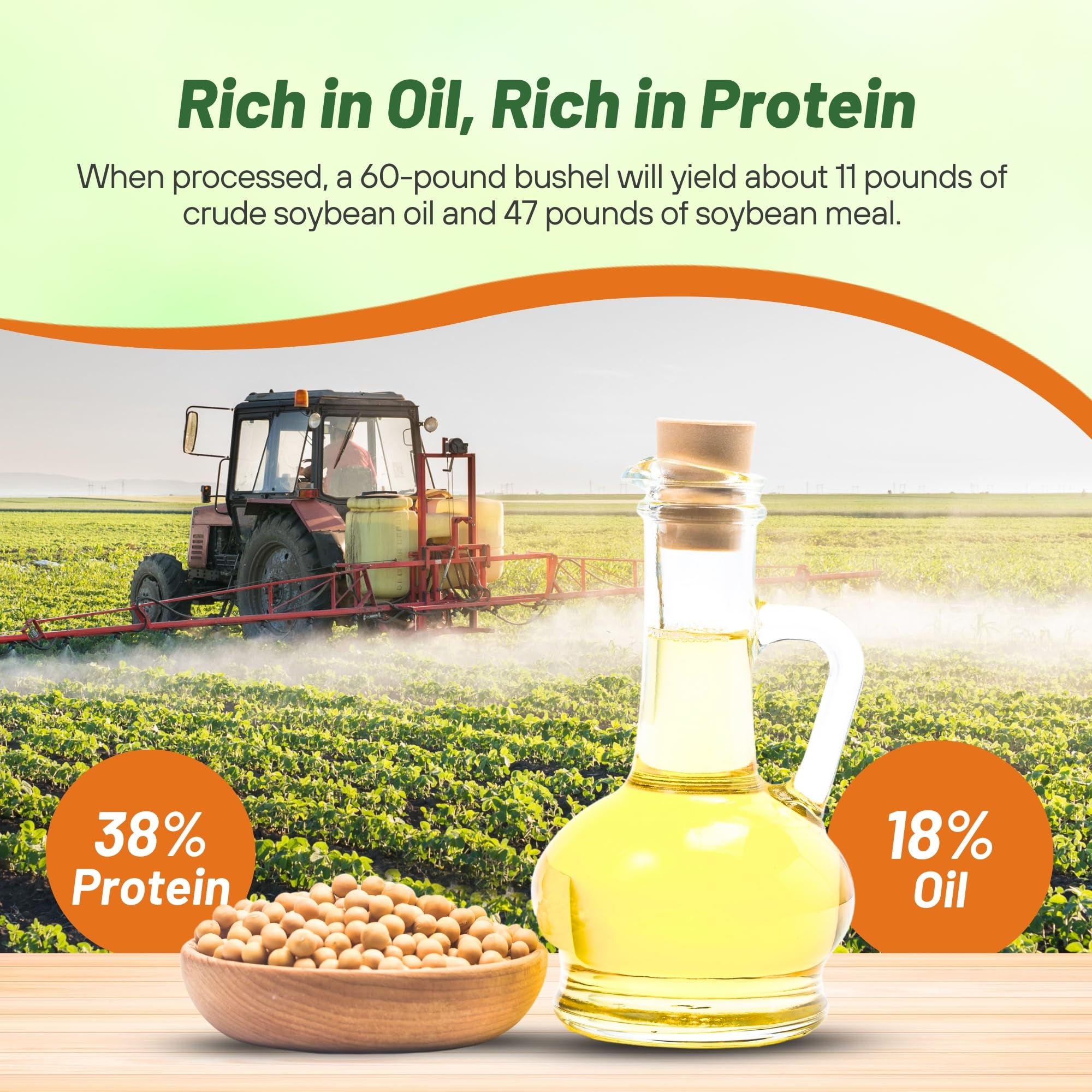Outsidepride Non-GMO Soybean Seeds - 50 lbs Bulk High Protein & High Yield Heirloom Soybeans for Oil Production, Animal Feed, Forage & Wildlife Food Plots | Perfect for Poultry, Livestock & Farm Animals | Great for Home Gardeners, Farmers & Wildlife Conservation