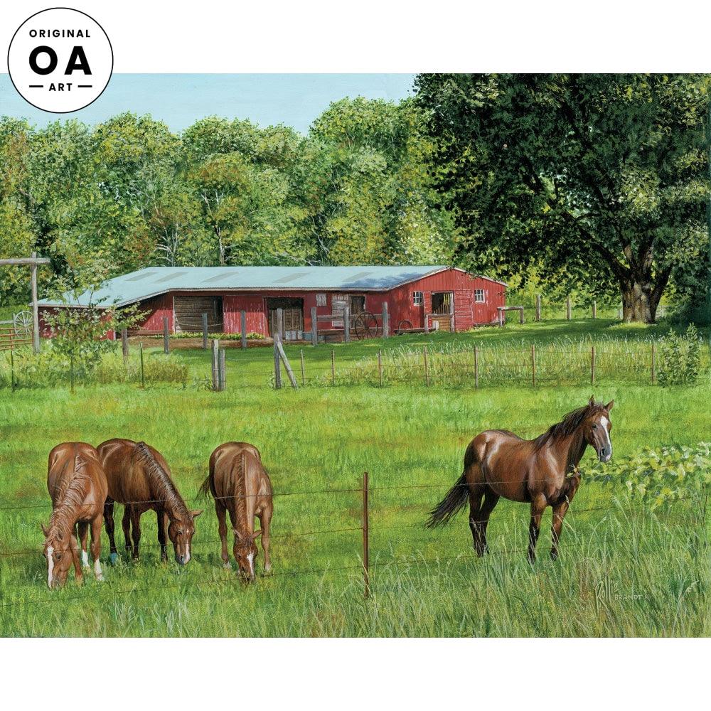 Premium Dakota Ranch Horse Riding Gear & Western Tack – Durable Saddles, Bridles & Accessories for Trail Riding, Rodeo & Ranch Work