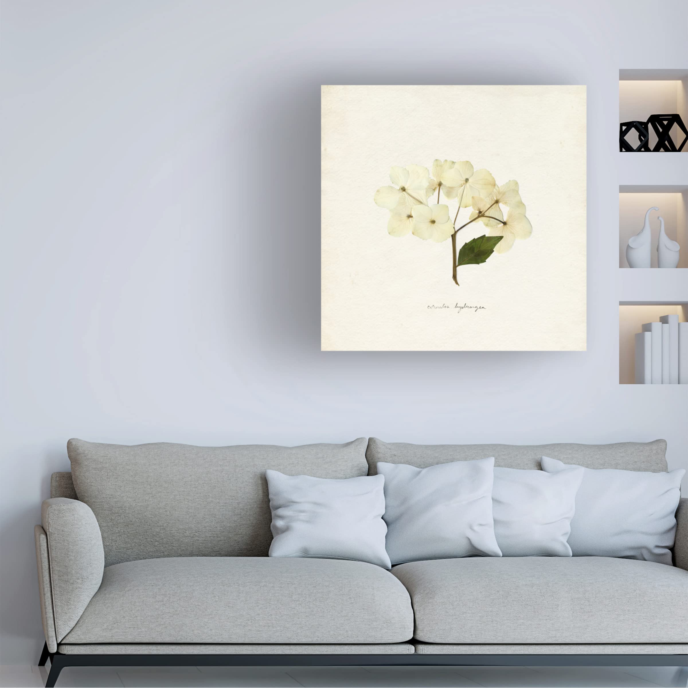 Emma Caroline 'Cornales Hydrangea II' Floral Canvas Wall Art Print - Premium Home Decor for Living Room, Bedroom & Office