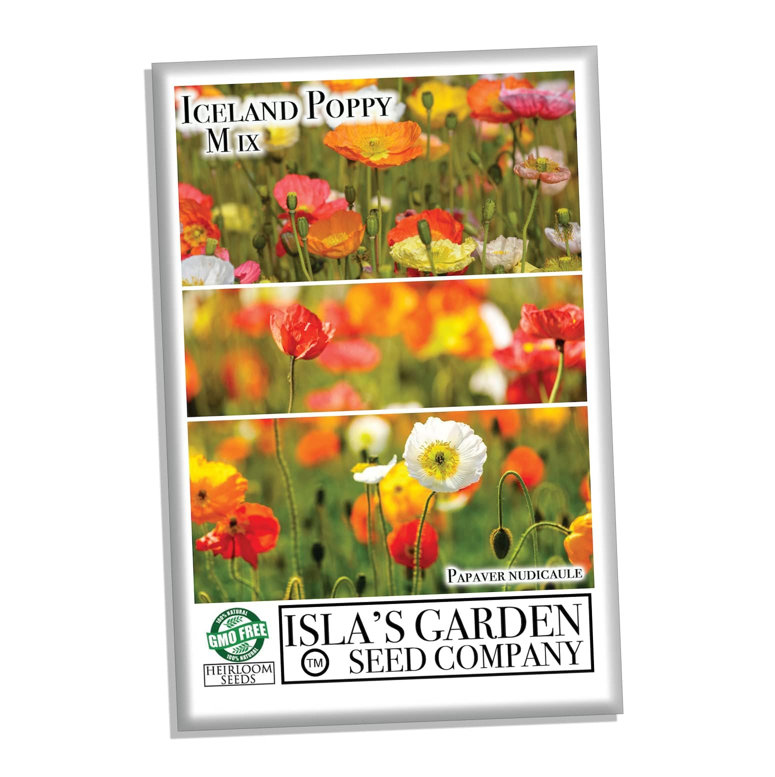 Iceland Poppy Seeds Mix - 3000 Heirloom Non-GMO Flower Seeds (Papaver nudicaule) by Isla's Garden - Perfect for Cottage Gardens, Borders & Cut Flower Arrangements