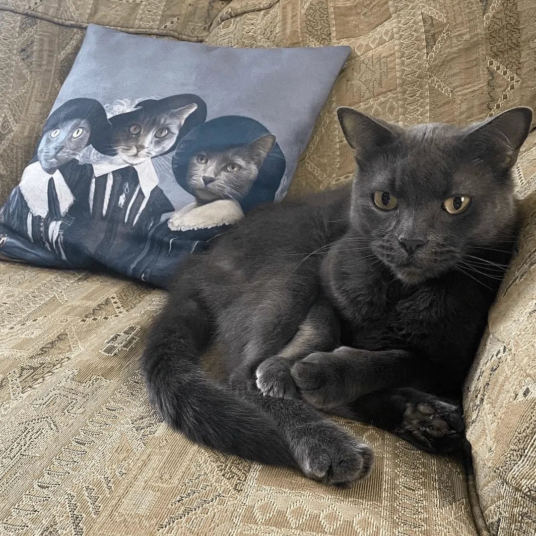 Three Musketeers Custom Throw Pillow - Soft Decorative Cushion for Sofa, Bed, Living Room - Perfect for Home Decor, Gifts & Cozy Comfort