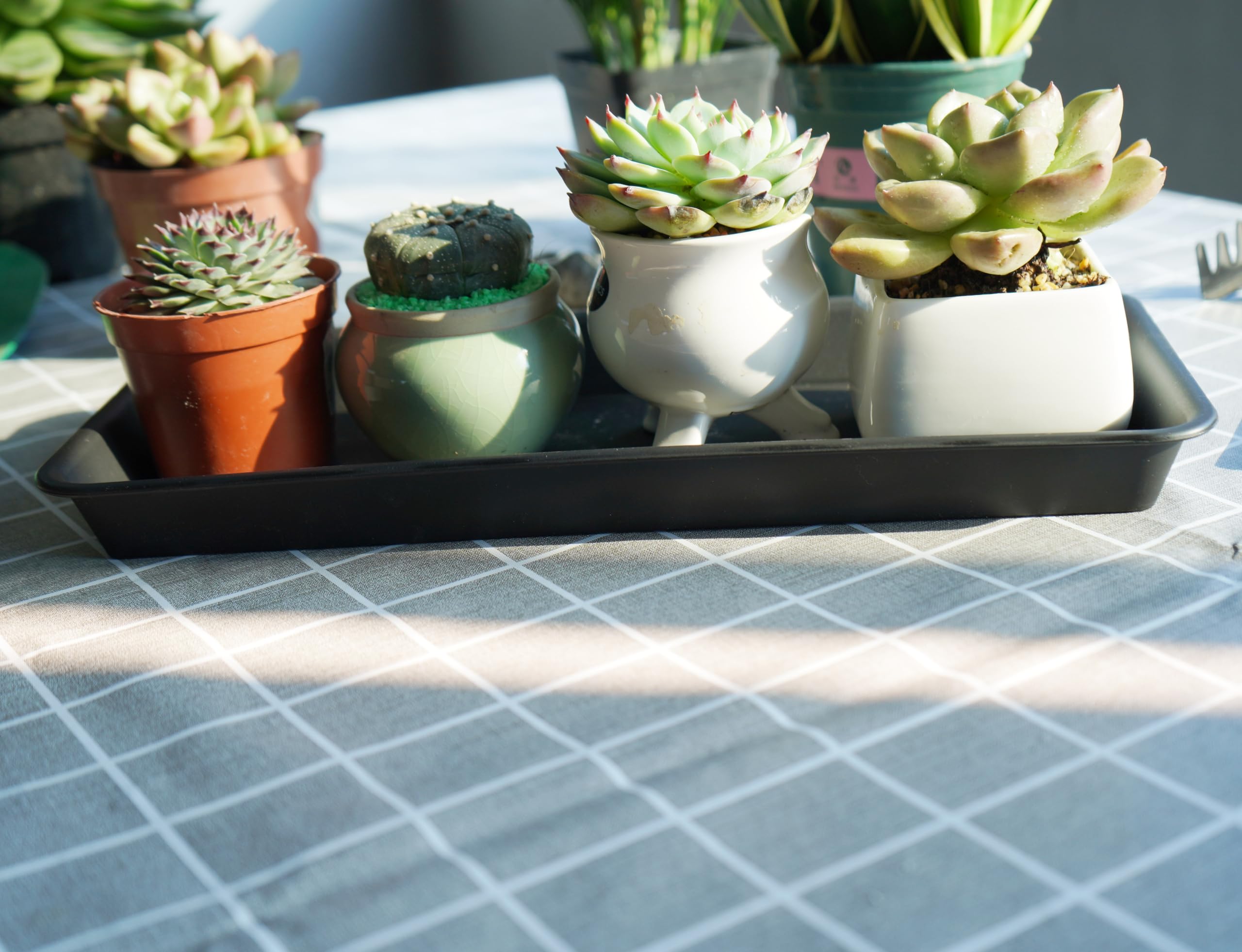 **Rectangle Plant Tray - Drip Tray & Pot Saucer for Indoor/Outdoor Plants | Seed Germination Tray | Perfect for Gardening, Greenhouses & Home Decor**