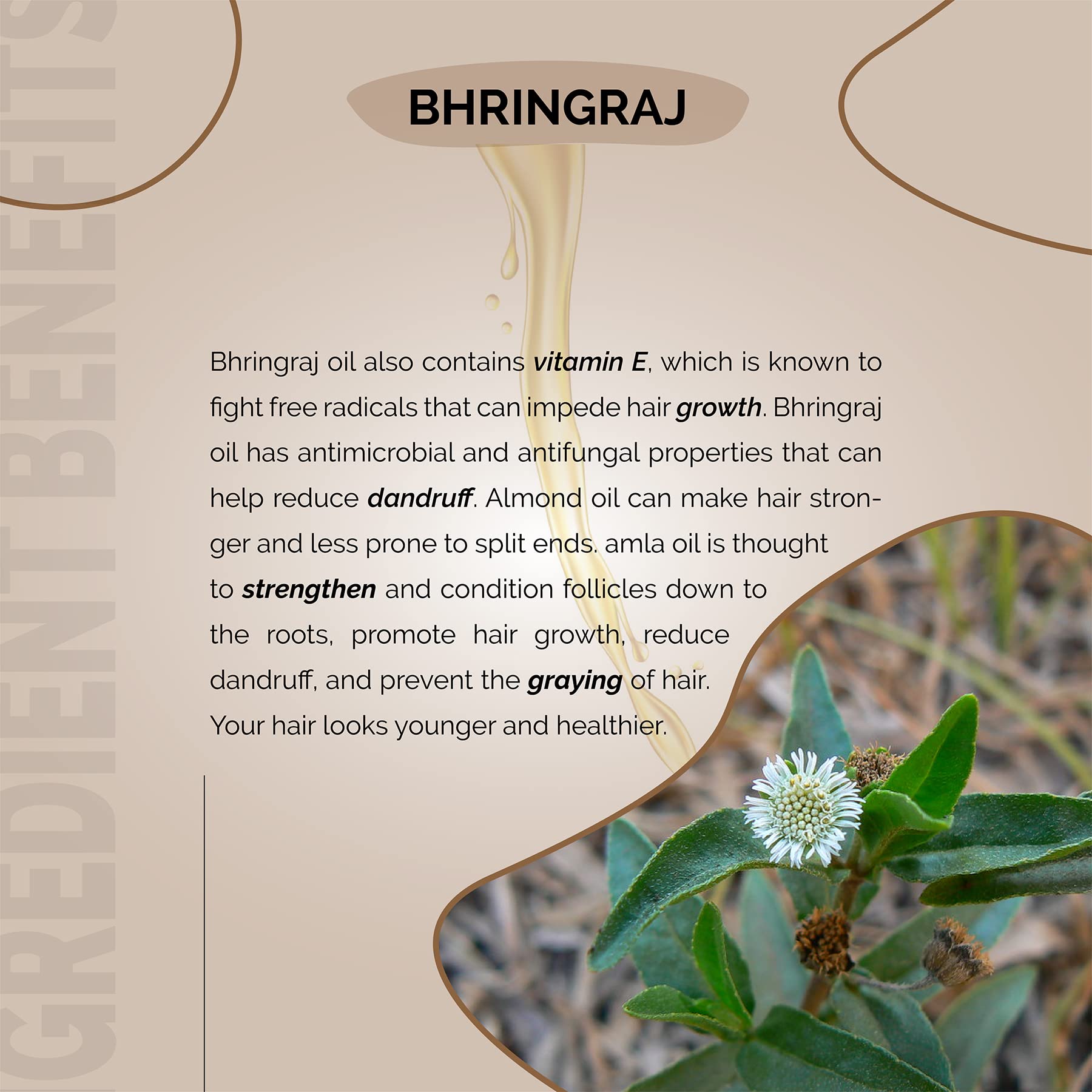Bhringraj Hair Oil for Men & Women - Ayurvedic Formula with Amla, Castor, Neem & Sesame Oils | Vitamin E & D Enriched Natural Oil for Hair Growth | Anti-Dandruff & Hair Fall Solution | 100% Chemical Free | 200ml | Perfect for Daily Hair Care & Scalp Massage