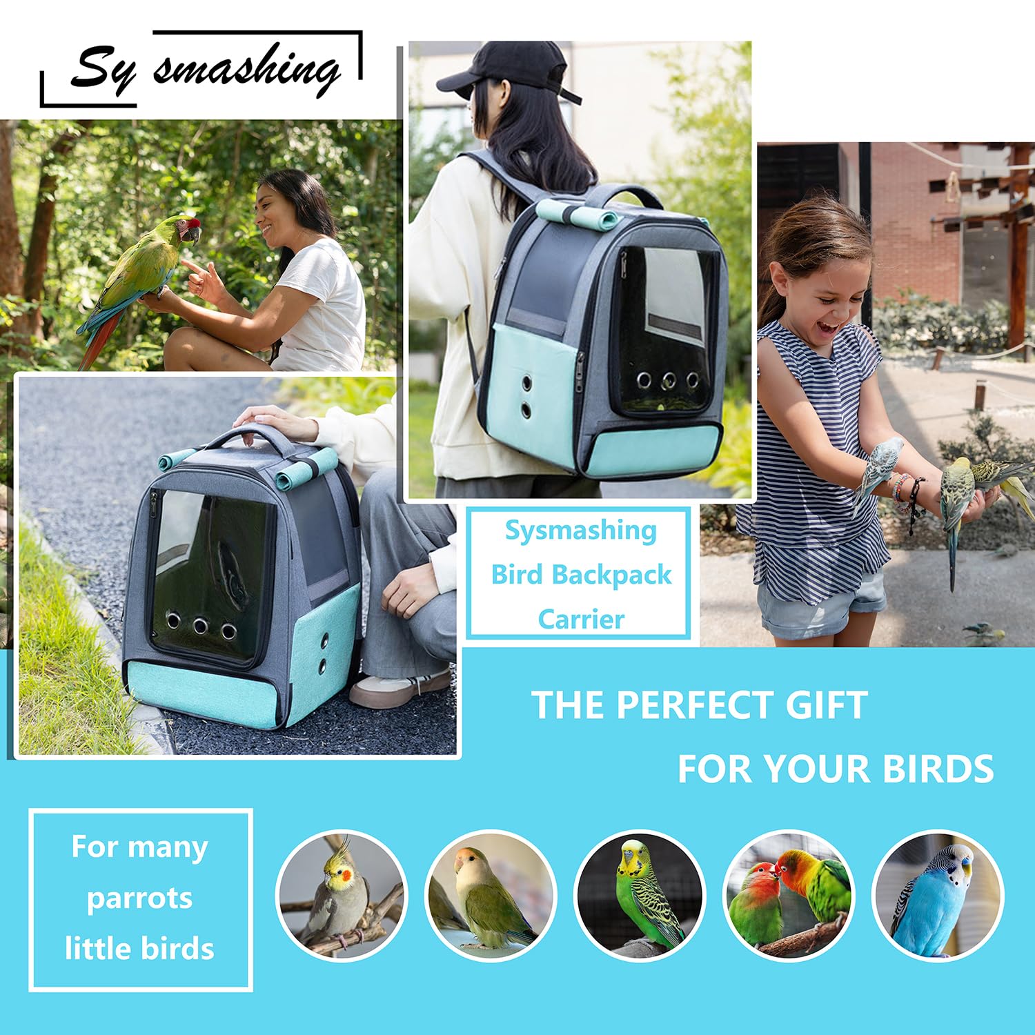 **Bird Travel Backpack Carrier with Tray, Perch & Feeding Tank - Waterproof & Ventilated for Parakeets, Lovebirds & Small Birds - Perfect for Outdoor Adventures & Vet Visits**