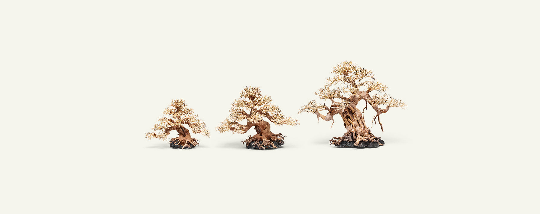 Premium Bonsai Tree Kit - Complete Starter Set for Indoor & Outdoor Gardening - Perfect for Home Decor, Office Zen Spaces & Gift Ideas