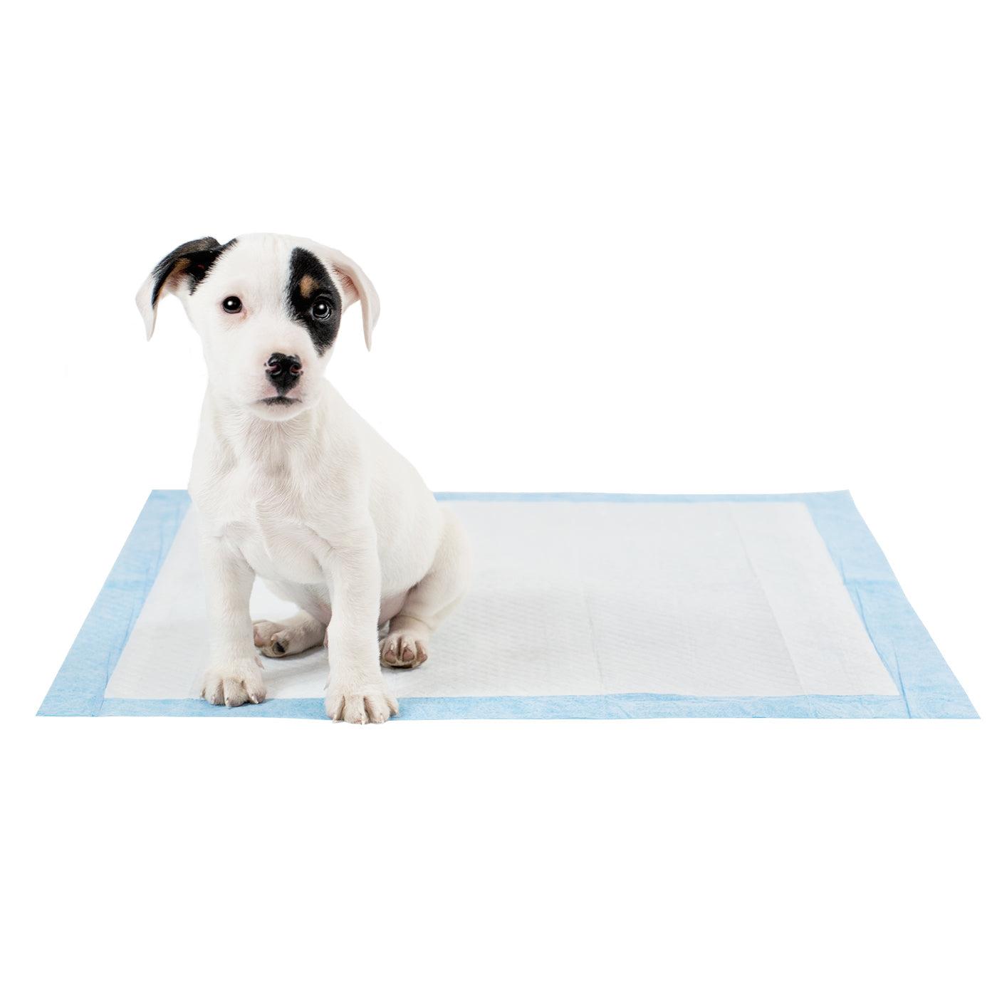 Premium Puppy Training Pads - Super Absorbent Leak Proof Triple Pack for Small & Large Dogs - Perfect for Housebreaking, Crate Training & Travel Use