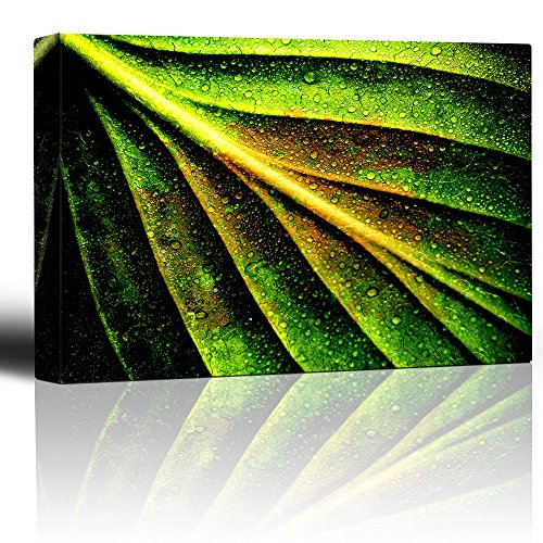 Intricate Leaf