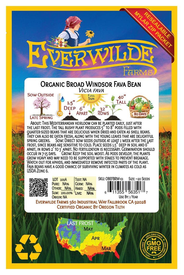 20 Organic Fava Broad Windsor Fava Bean Seeds - Non-GMO, Heirloom Variety - Perfect for Home Gardening, Cooking & Healthy Recipes - Everwilde Farms Gold Vault Packet