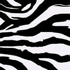 Zebra Print