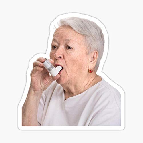 3-Pack Old Lady Meme Stickers - Fun for Laptops & Water Bottles