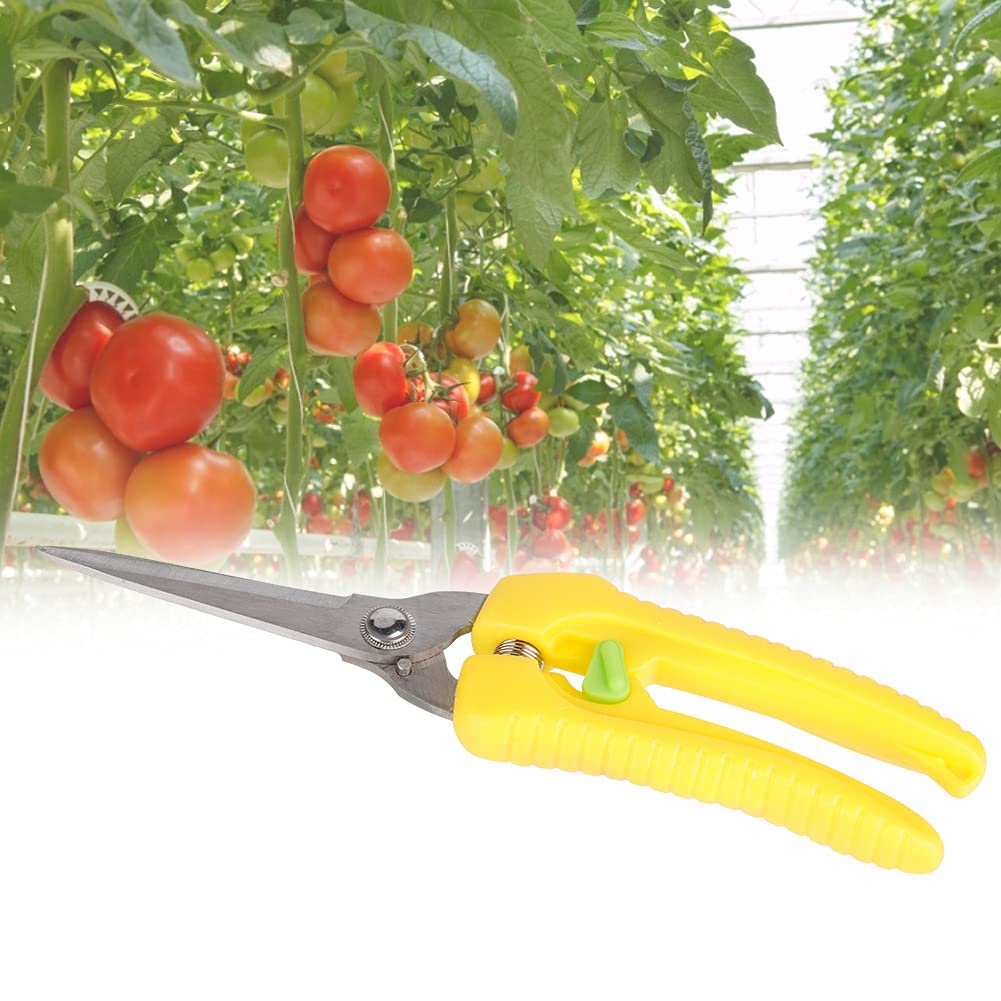 Premium 8-Inch Pruning Shears - Professional Garden Scissors for Plants, Flowers, Bonsai & Fruit Trees - Sharp Stainless Steel Trimming Shears for Gardening, Landscaping & Home Use