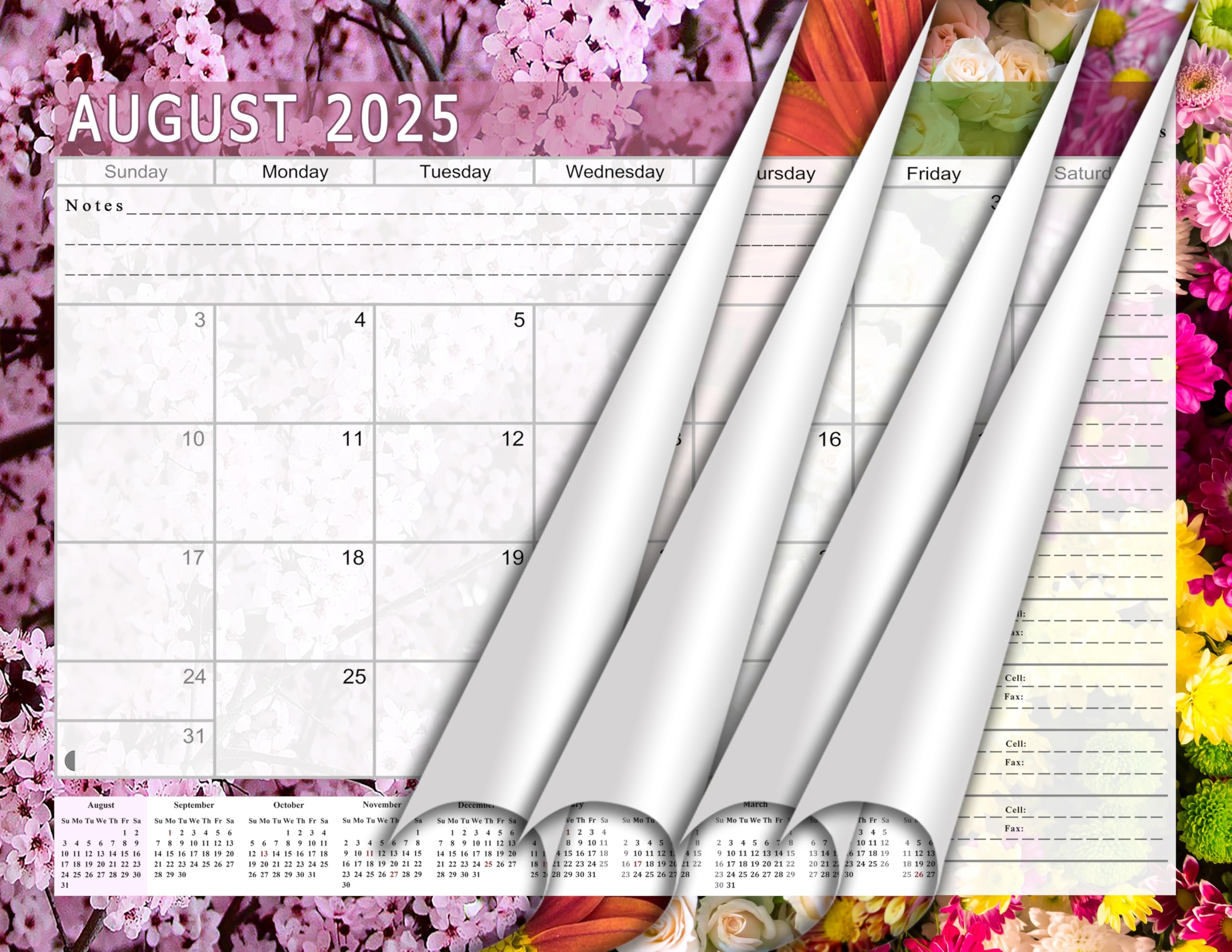 2025-2026 Student Planner | 12-Month Academic Calendar for College & High School | 3-Ring Binder, Desk or Wall Organizer | School & Office Supplies | Made in USA (Edition #021) | Perfect for Class Schedules, Homework Tracking & Time Management
