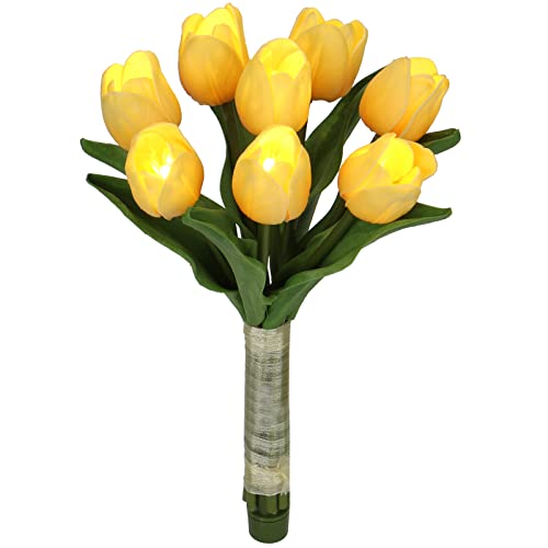 Tulips-yellow-1