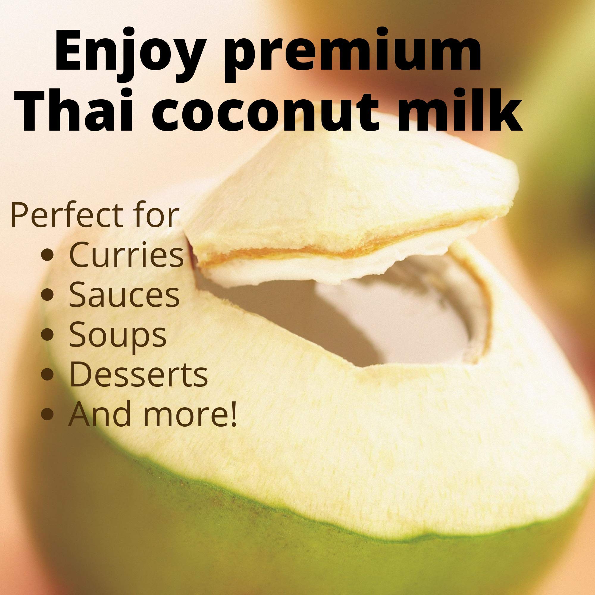 Chaokoh Coconut Milk 24 Pack (13.5 Oz per Can) - Creamy Non-Dairy Coconut Milk, No Preservatives or Artificial Flavors, Perfect for Smoothies, Curries, Baking & Vegan Recipes