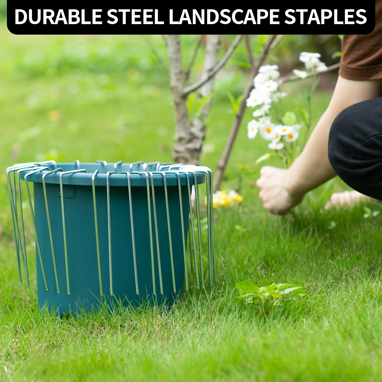 MAT-7 BANQUET 6 Inch 120 Pack Heavy Duty Galvanized Landscape Staples - 11 Gauge U-Shaped Garden Stakes for Weed Barrier Fabric, Sod, Fencing & Plant Edging | Perfect for Yard Landscaping, Garden Projects & Lawn Maintenance