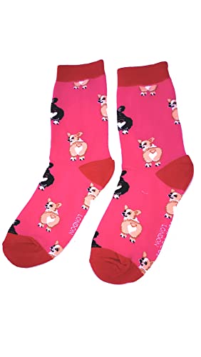 PINK CORGIS