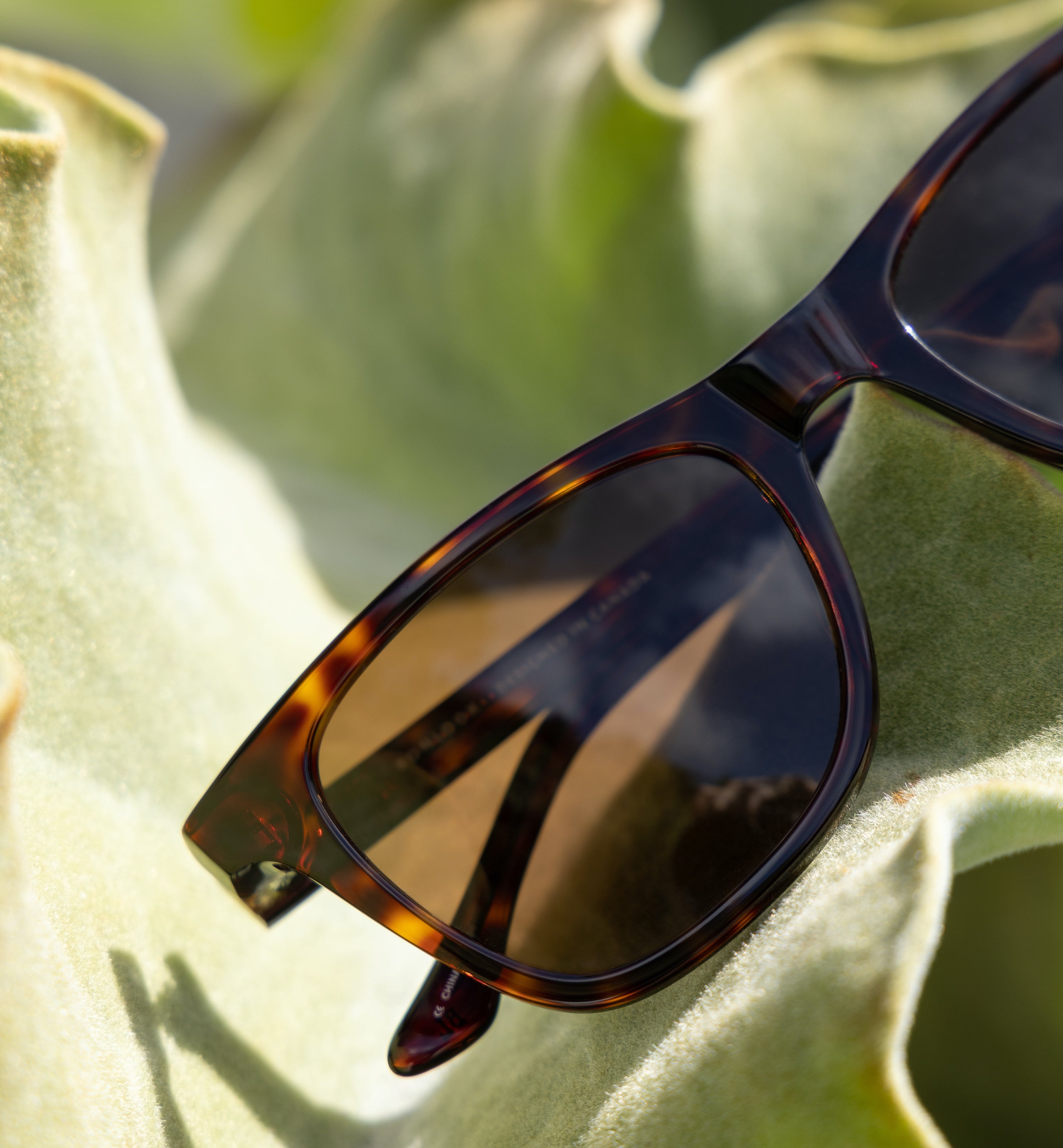 Trendy Polarized Swirl Sunglasses for Women & Men - UV Protection, Fashionable Retro Style - Perfect for Beach, Driving & Outdoor Activities