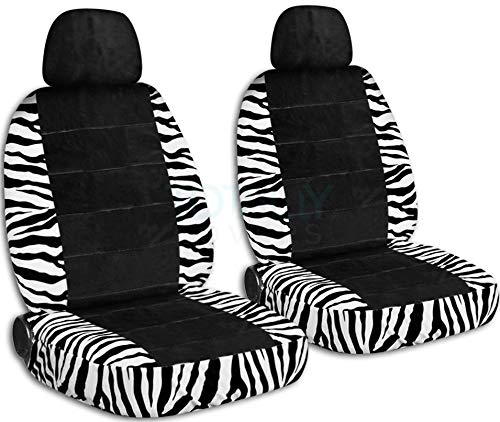 Zebra & Black