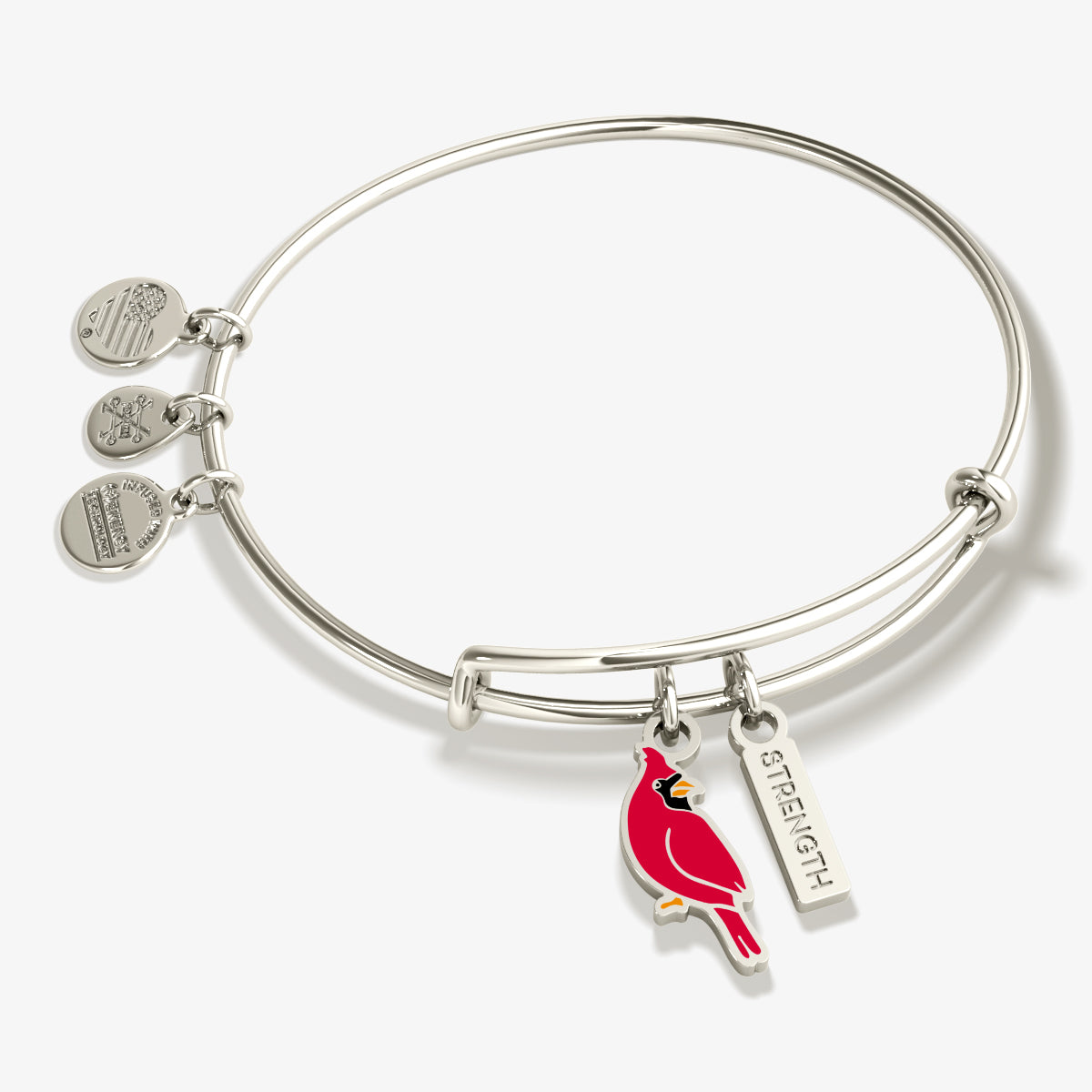 Strength Cardinal Duo Charm Bangle Bracelet - Elegant Jewelry for Women, Durable Stainless Steel Bracelet with Bird Charms - Perfect for Gifts, Daily Wear & Special Occasions