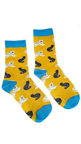 COSY CATS