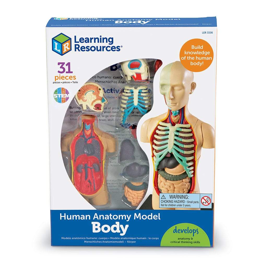Human Body Anatomy Model - Detailed 3D Educational Tool for Medical Students & Science Enthusiasts | Perfect for Classroom, Lab & Home Study
