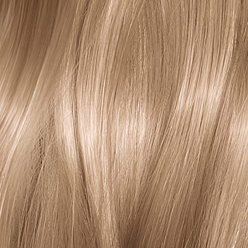 8.11 Ultra Ash Medium Blonde