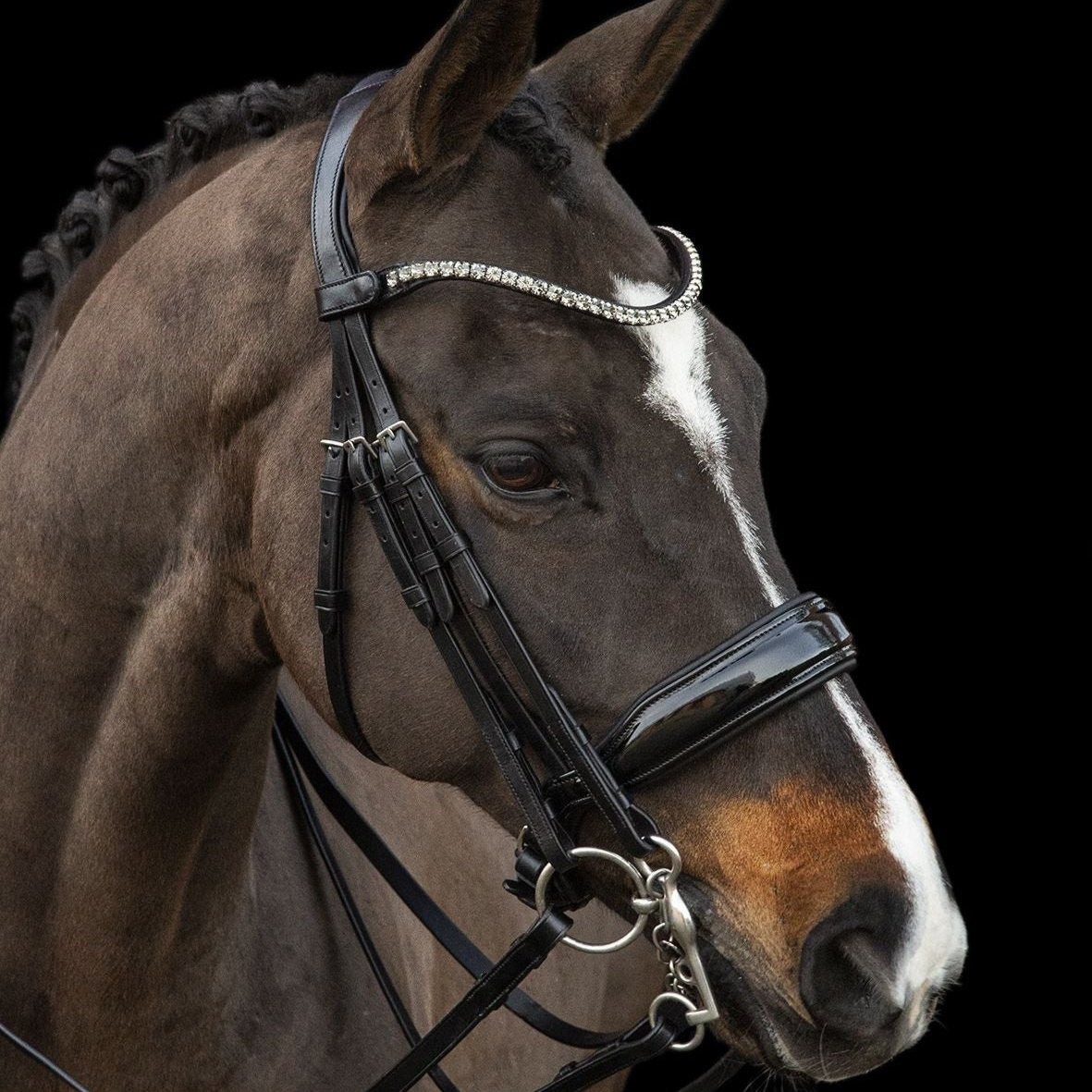 Schockemöhle Milazzo Dressage Double Bridle - Premium Horse Riding Equipment for Professional Equestrian Training & Competitions | Perfect for Dressage Shows and Advanced Riding Lessons