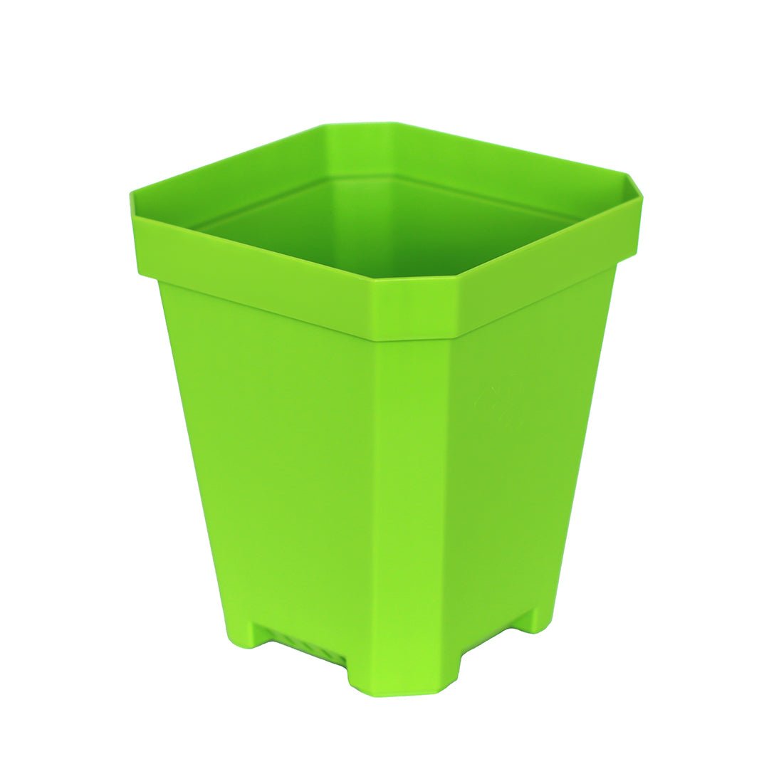 Bootstrap Farmer Heavy Duty Seed Starting Pots 5.0 - Durable Biodegradable Plant Pots for Indoor/Outdoor Gardening, Seedlings & Transplanting