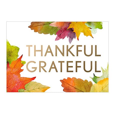 Hallmark Business Thanksgiving Greeting Cards for Customers - Gold Thankful & Grateful Message (100-Pack) - Perfect for Client Appreciation & Holiday Gifting