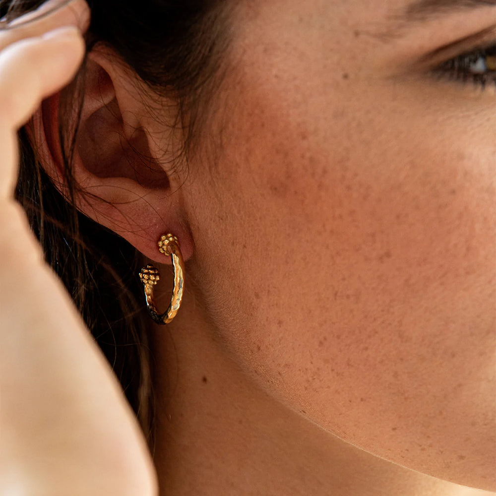 Capucine de Wulf Berry Slice Small Hoop Earrings - 14K Gold Plated Dainty Hoops for Women | Perfect for Everyday Wear, Date Night & Gift Giving