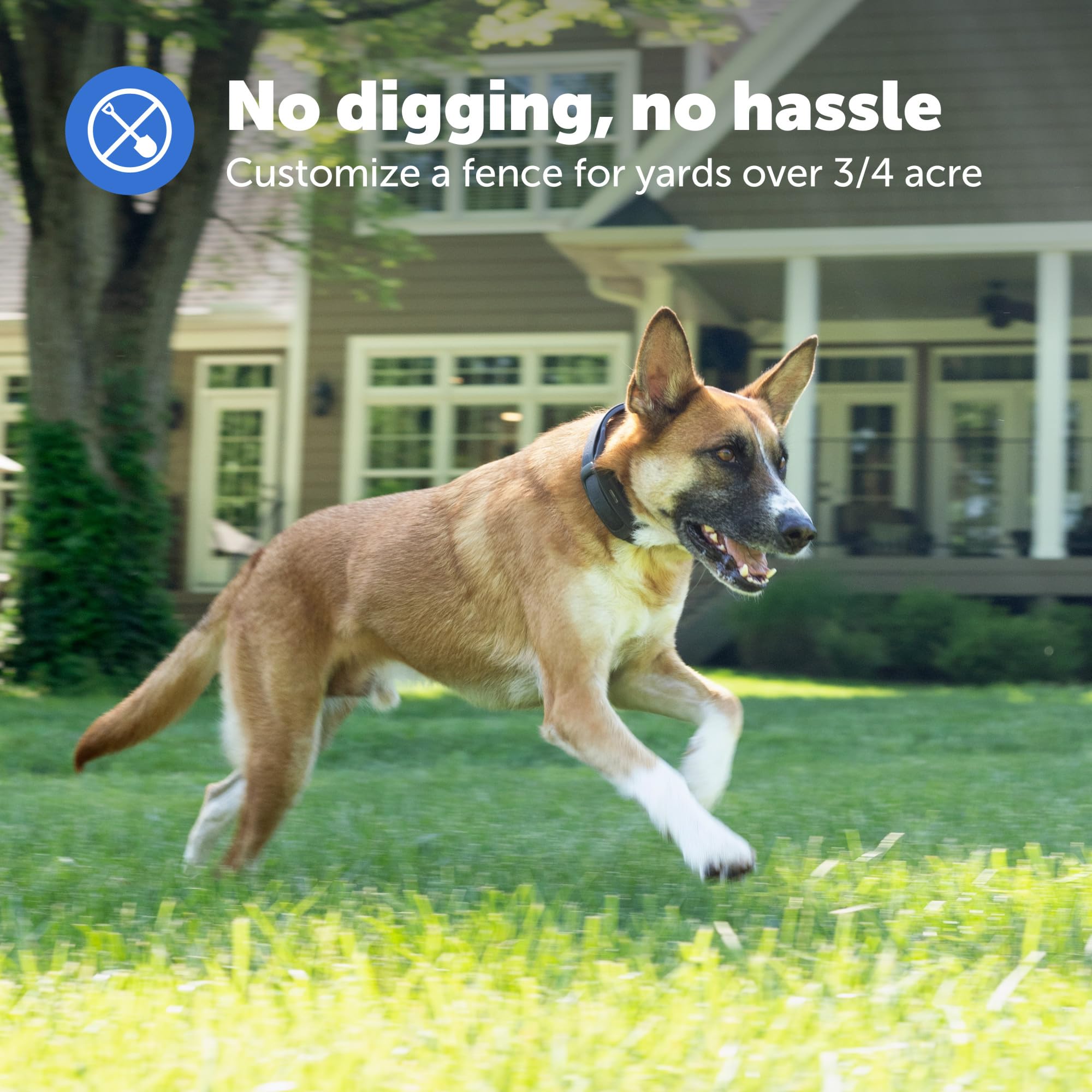 PetSafe Guardian GPS Dog Fence System - Wireless No Subscription Dog Containment for Large Yards (3/4+ Acres) - Safe GPS Tracking Collar for Dogs - Perfect for Backyard Security & Outdoor Pet Safety