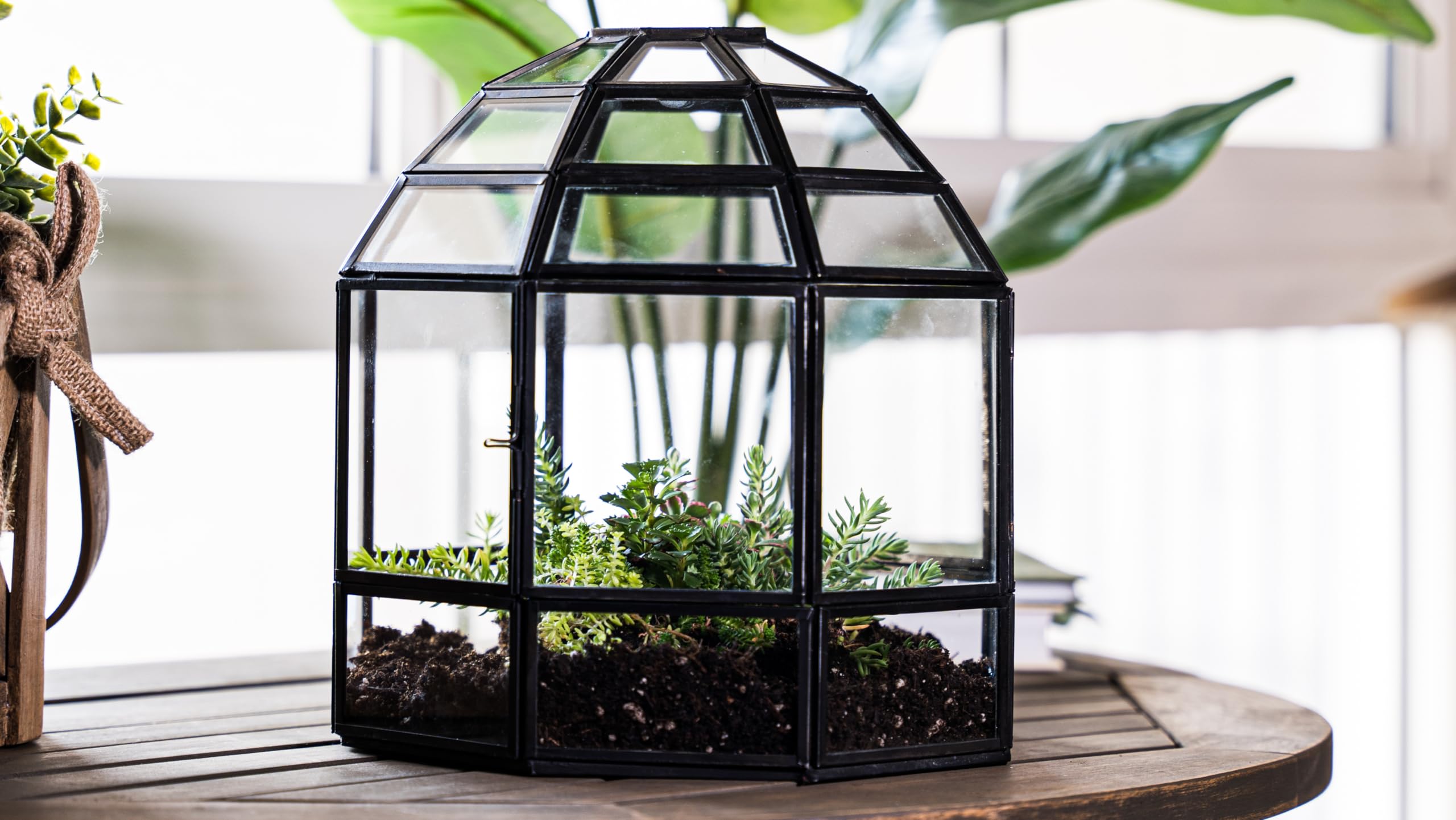 Handmade Large Glass Terrarium for Birds & Plants - 10