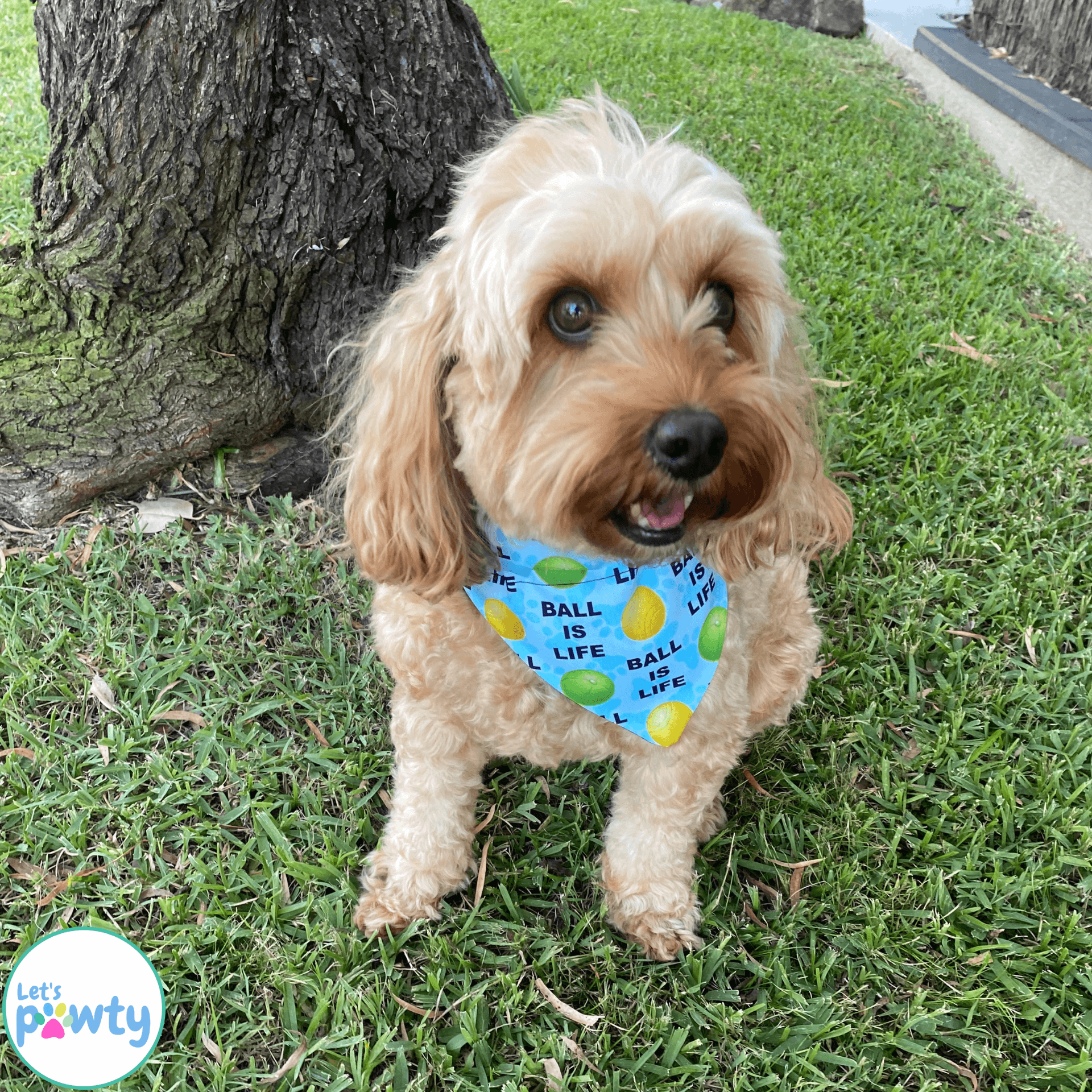 Ball Is Life Reversible Dog Bandana - Adjustable Pet Scarf for Small Medium Large Dogs - Perfect for Walks, Playtime & Photo Shoots