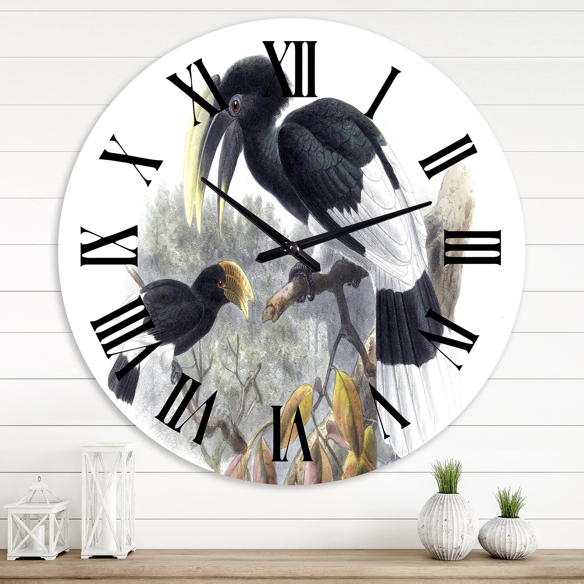 Vintage Bird Illustration Wall Clock - Large Traditional Design for Living Room, Bedroom, Office Decor | Silent Non-Ticking Battery Operated Clock for Home & Office Use