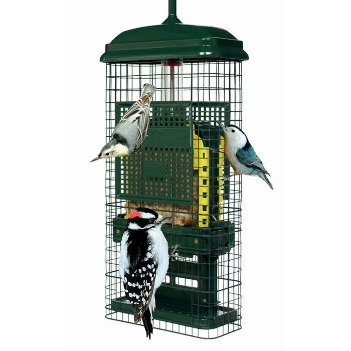 Brome Squirrel Buster Suet Feeder - Squirrel Proof Bird Feeder for Outdoor Use, Durable Metal Construction - Perfect for Backyard, Garden & Wildlife Watching