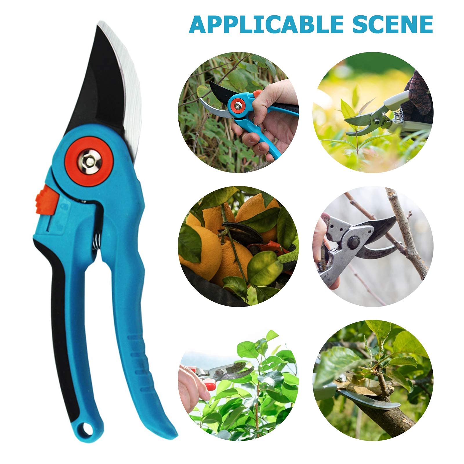 Premium Anvil Secateurs & Garden Shears - Heavy Duty Branch Pruning Scissors for Trees, Flowers, Plants - Ideal for Gardening, Landscaping & Balcony Use